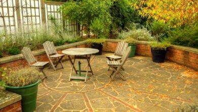 Low-Maintenance Gardening