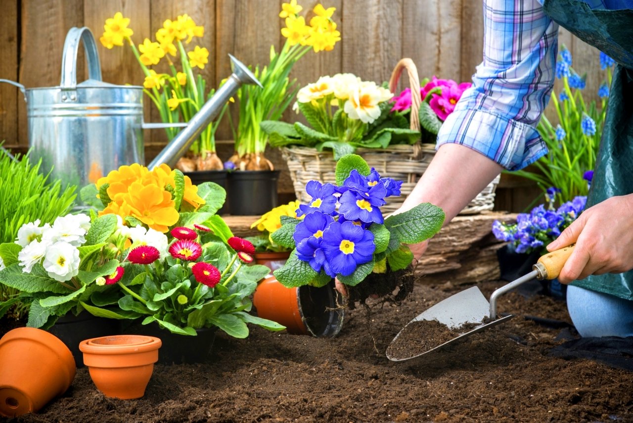 Seasonal Gardening Guide for Every U.S. Region - Home Decoraide